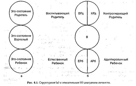 3 я родитель ребенок взрослый