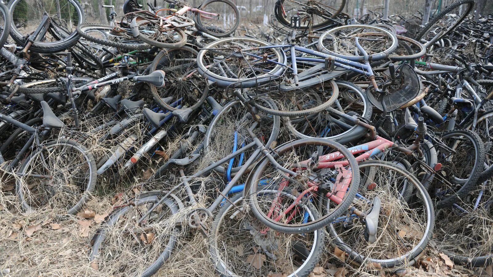 Куда сдавать разбитый. Поломанный велосипед. Сломанный велосипед. Много велосипедов. Старый сломанный велосипед.