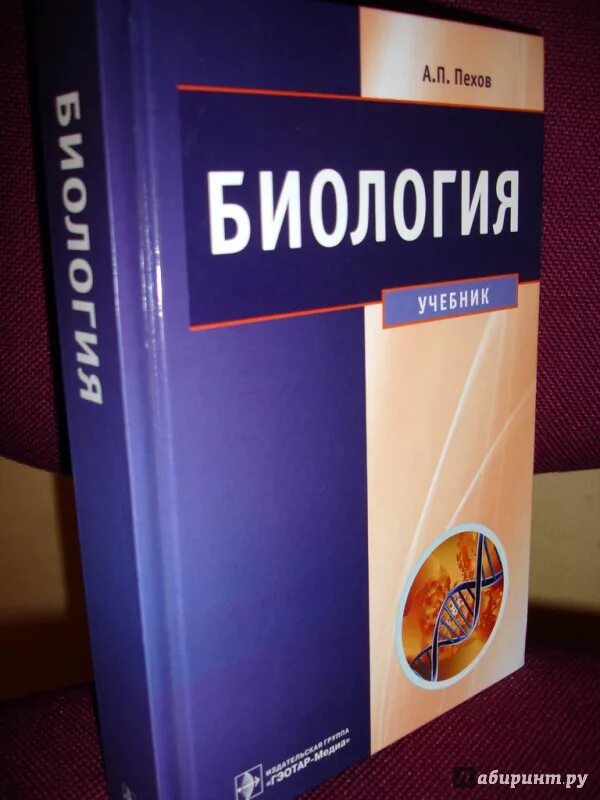 Биология медицинский университет. Учебник биология для мед.вузов. Учебники для вузов. Биология для вузов учебник. Учебник по биологии для медицинских вузов.