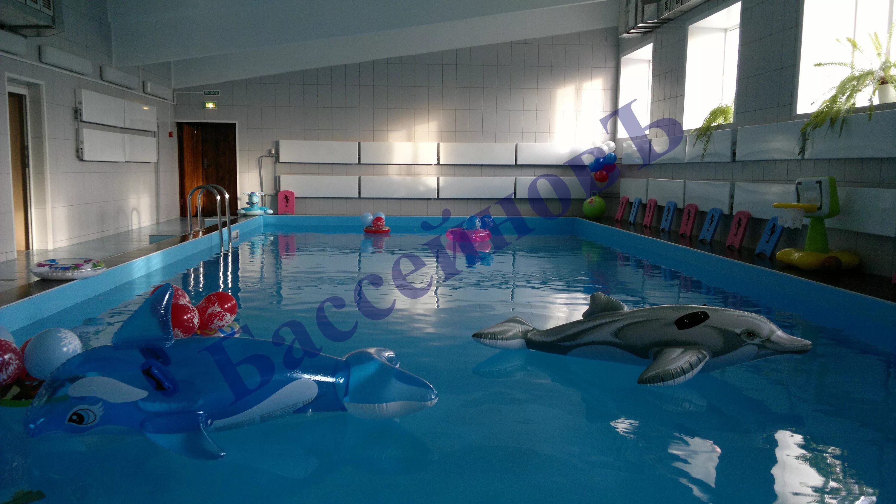 детский бассейн калуга. гранд фитнес калуга бассейн. юнга детский бассейн калуга. акваклуб ассолька калуга. квань бассейн.