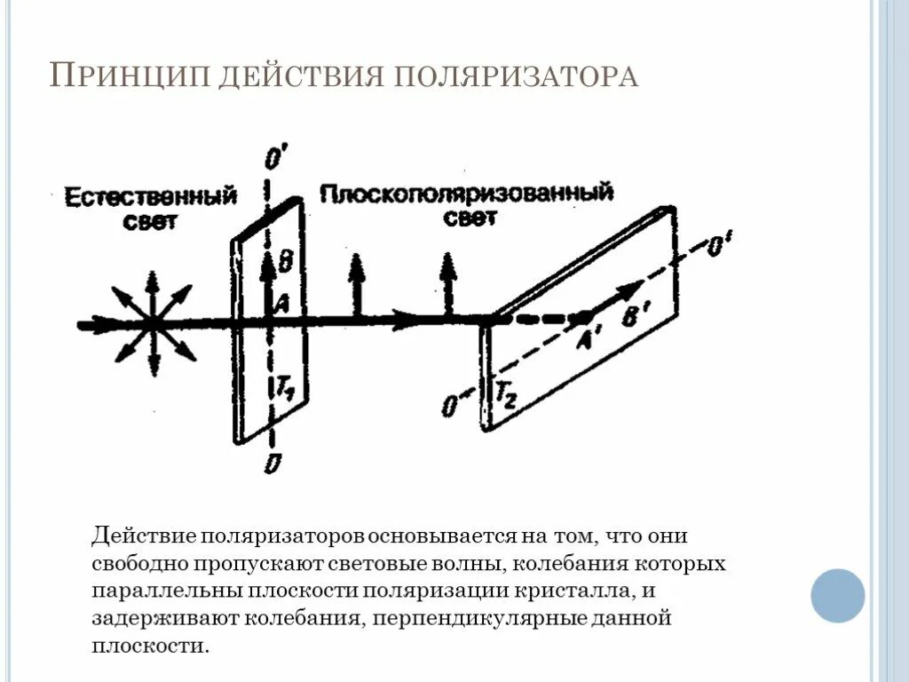 Призма николя поляроиды. Принцип действия поляризатора и анализатора. Поляризационный детектор. Принцип действия поляризатора. Естественно поляризованный свет.