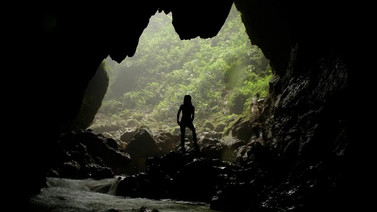 Пещера Санктум ласточек. Пещера ласточек в Мексике. Пещера ласточек - Сотано де Лас Голондринас. Пещера эса ала.