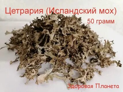 Как выглядит исландский