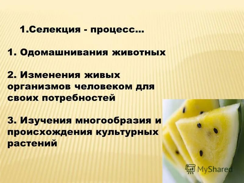 селекция. выведение новых сортов растений наука. методы селекции искусственный отбор таблица. селекция процесс. породы собак селекционеров.