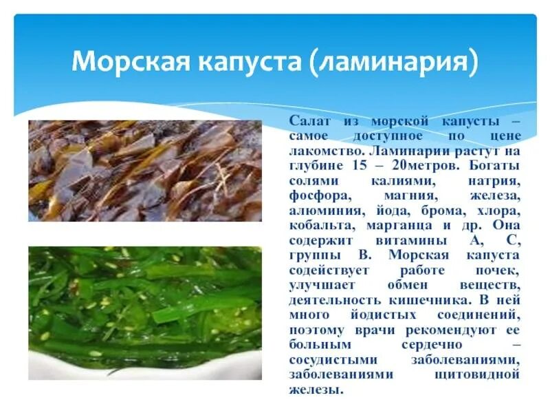 Ламинарию можно есть. Морская капуста ламинария. Морская капуста витамин в12. Ламинария японская морская капуста. Полезные вещества в морской капусте.