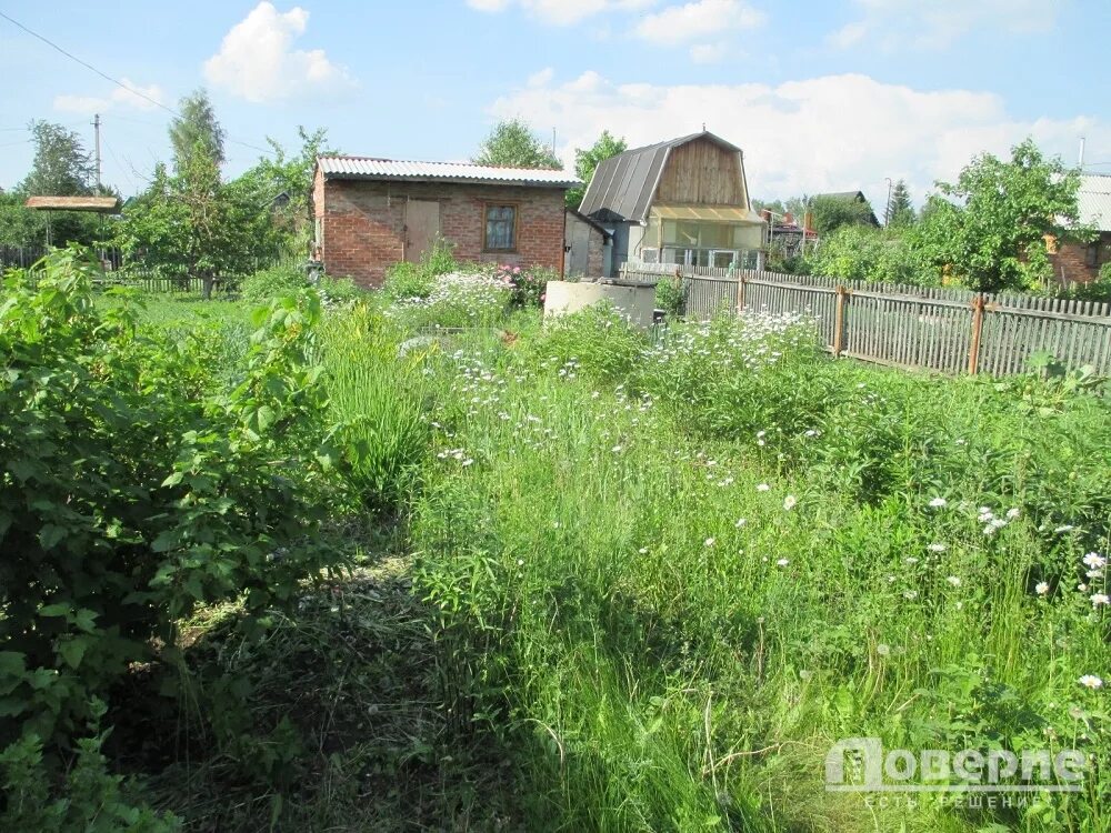 Снт волжанка. Снт волжанка. Снт волжанка коромыслово. Снт волжанка. Снт волжанка конаковский район.