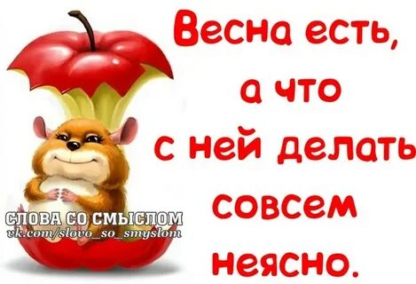 В смысле совсем
