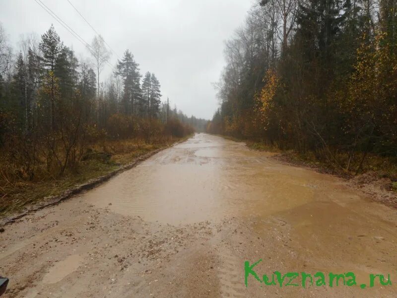 Дорога на васильково. Дорога на васильково. Снт васильково - 4. Малое васильково калининградская область. Поселок васильково калининградская область.