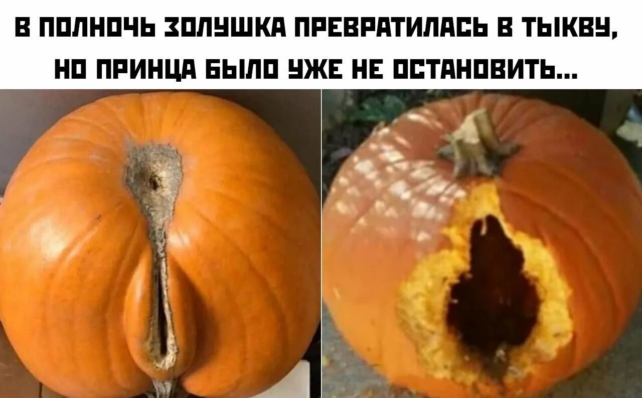 Превратится в тыкву. Превратилась в тыкву на принца было уже не остановить. смешная тыква. превратился в тыкву но. золушка превратилась в тыкву но принца было не остановить.