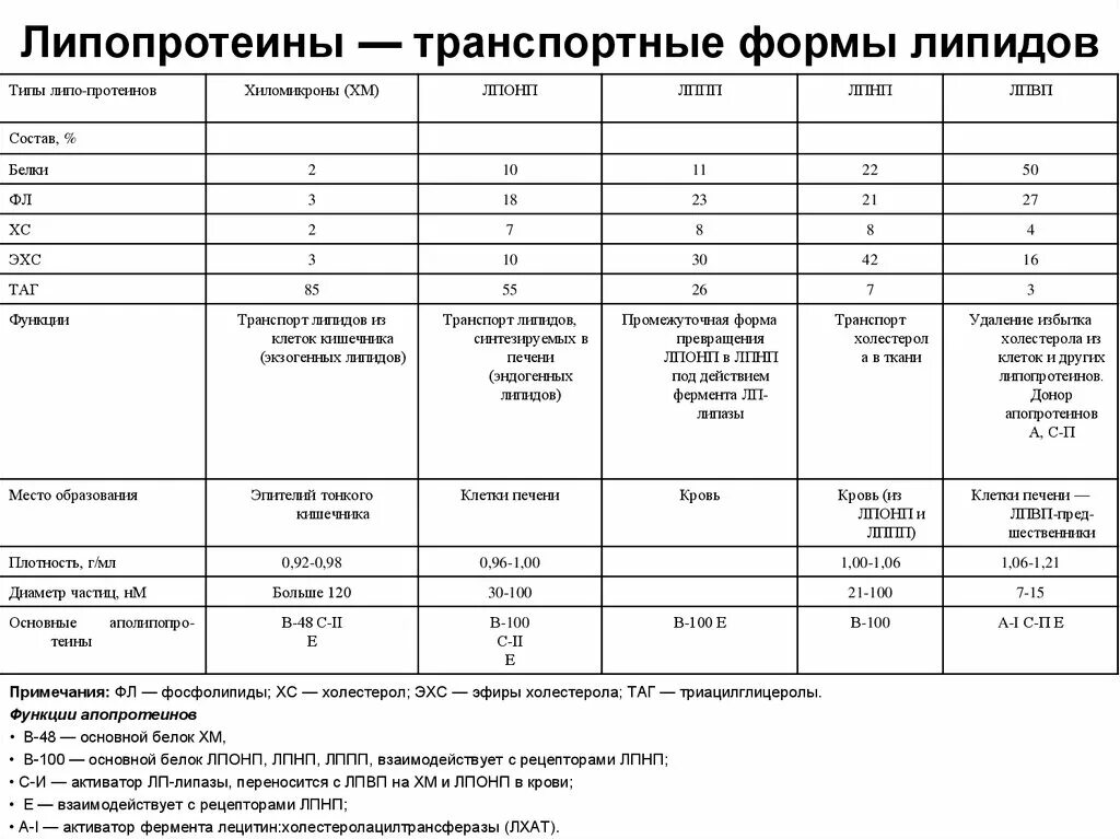 Функции лпнп