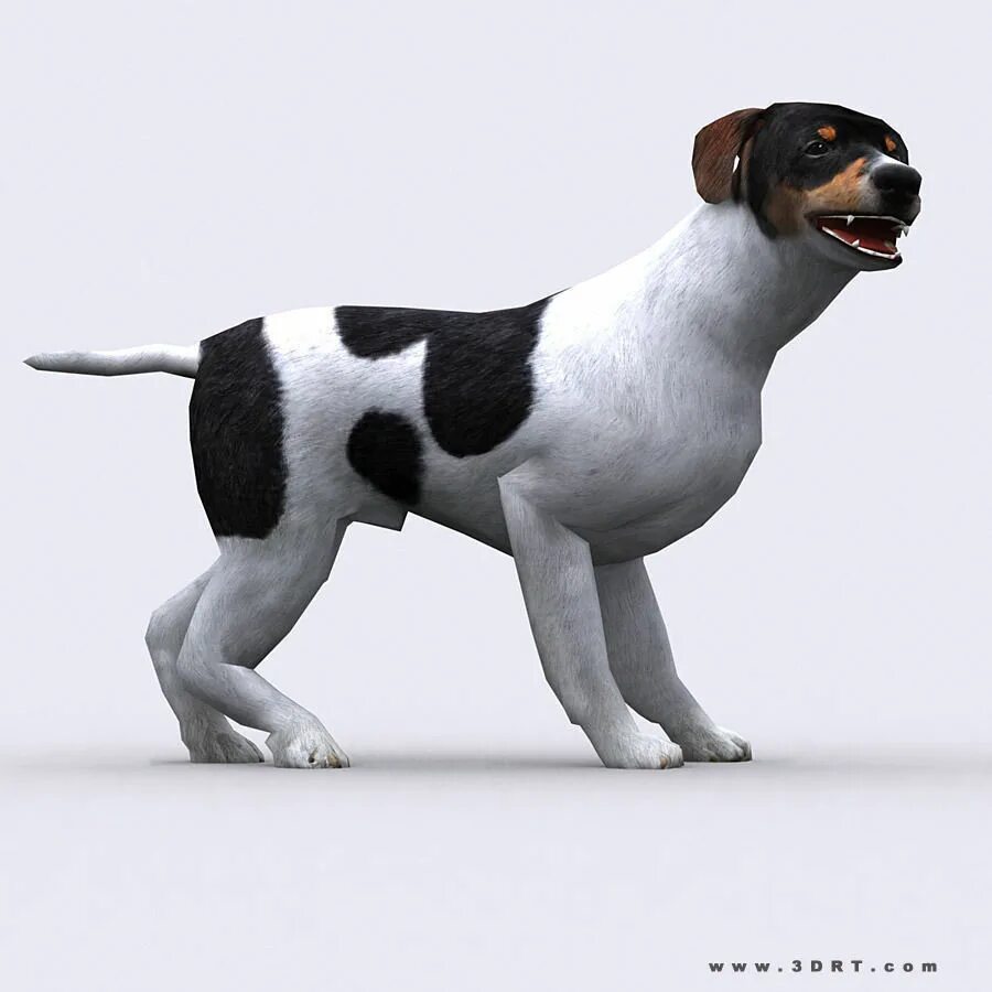 Собака 3д модель. 3ds max dog. собака 3d. моделька собаки. зд модель собаки.