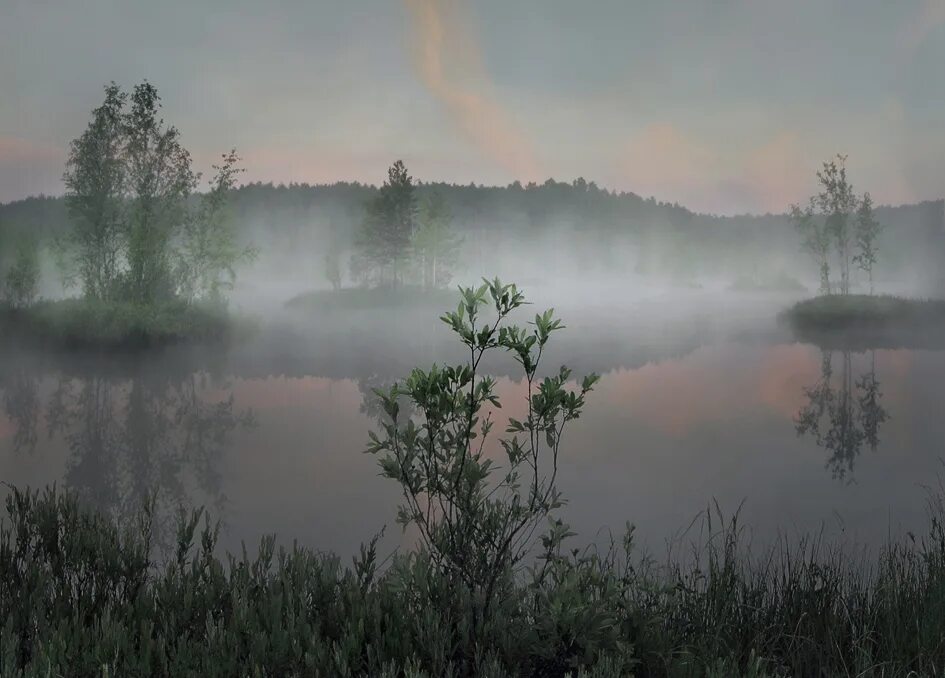 Туман над прудом. Туман речка кострома. Песни над озером туман. Туман над рекой. Среднесатыгинский туман озеро.