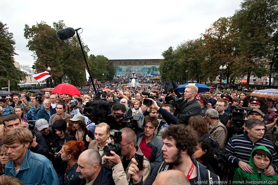 Троицк лес. Лес протест. Конфликт вокруг химкинского леса. Картинка защитники леса. Лес протест.