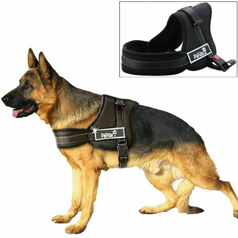 Шлейка к9 Кинологпрофи. Шлейка Comfy harness. K9 Kinologprofi шлейка. Шлейка к9 Julius. К1 купить для собак