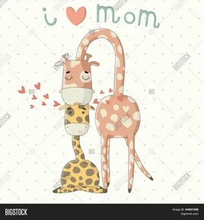 Коала и жираф