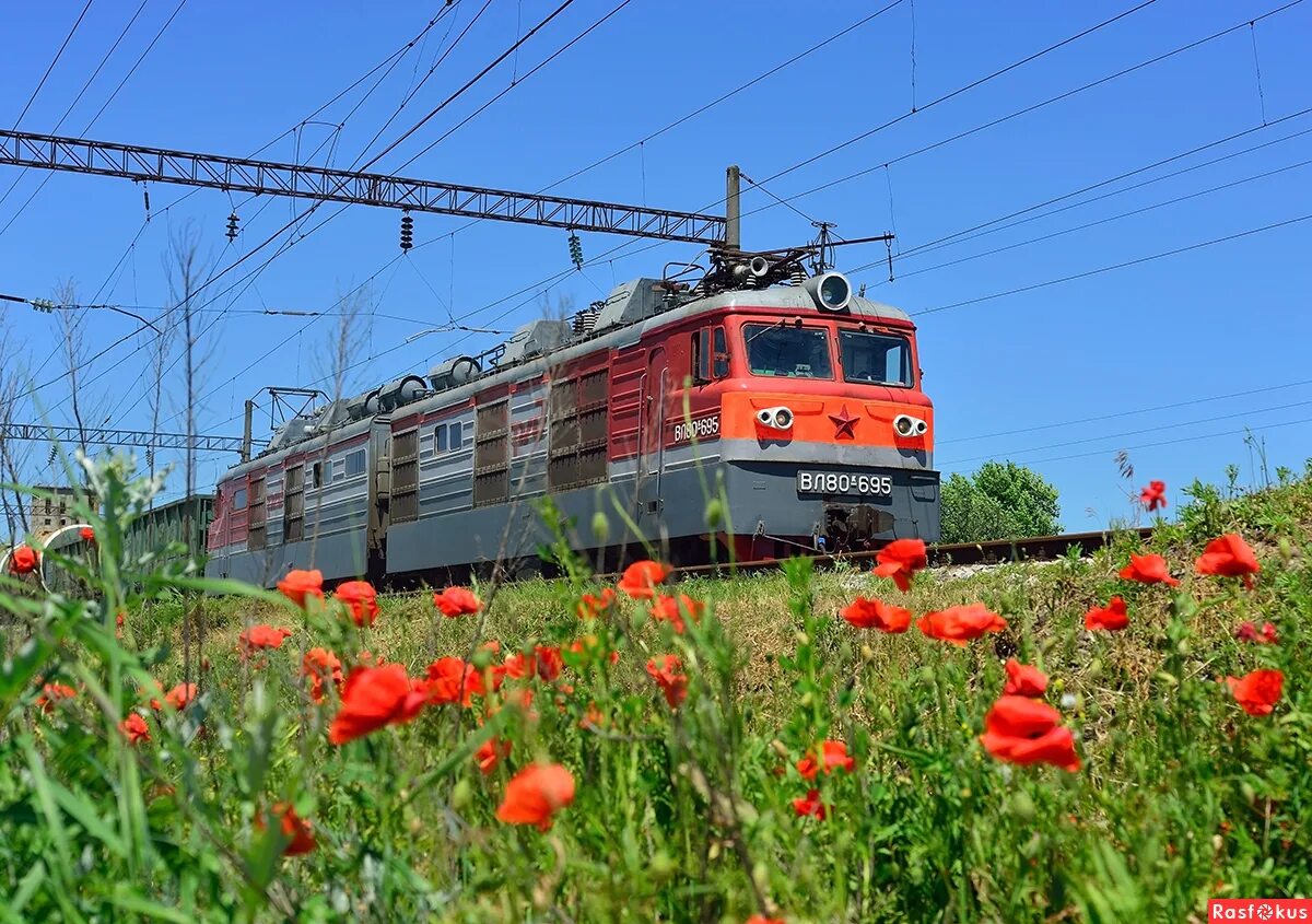 Транспорт северо кавказская. Вл80к СКЖД. Электровоз СКЖД. Вл80к 695. Кавказская СКЖД.