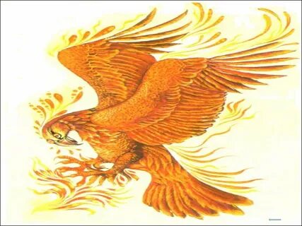 БДСМ гинекологиялық порно фильмдерін онлайн көріңіз