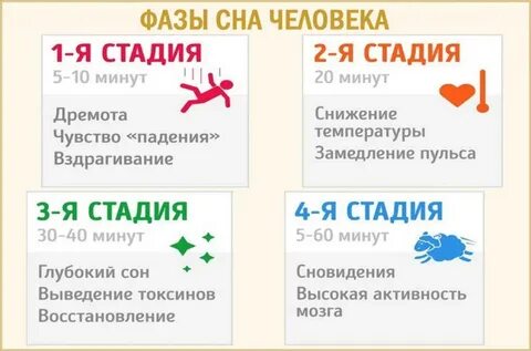 Сколько времени длятся фазы сна