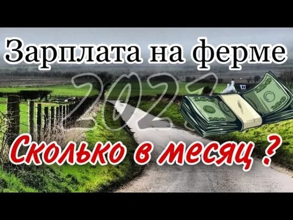 Agri-hr работа в англии для таджиков. Англия сельхозработы. Англия сельхозработы. Агри hr. Агро англия.