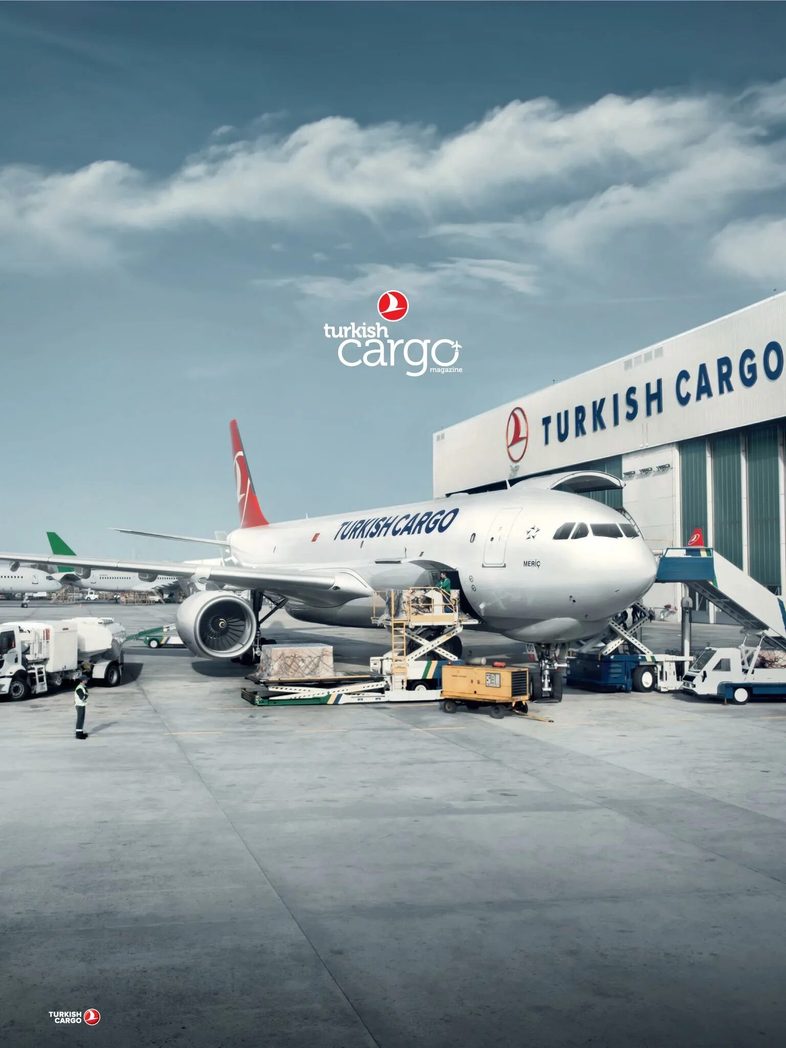 Карго турция россия. Стамбул карго. Cargo турецкий. Самолет турецкий карго. Turkish Airlines Cargo парк самолетов.