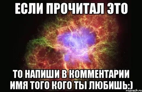 Напиши что они любят есть