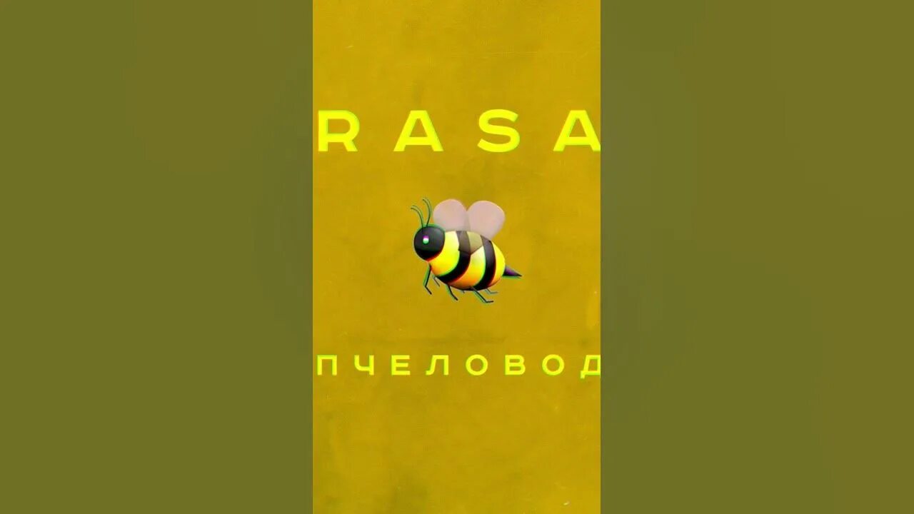 Клип песни пчеловод rasa. Rasa пчеловод. Ты пчела ты пчеловод. Rasa ты пчела я пчеловод. Трек ты пчела я пчеловод.