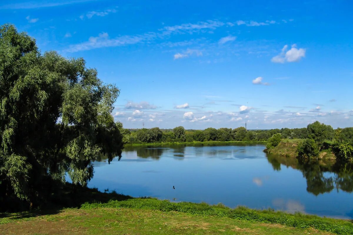 на берегу реки. река ока приложение. река ока приложение. части реки ока. река ока приток волги.