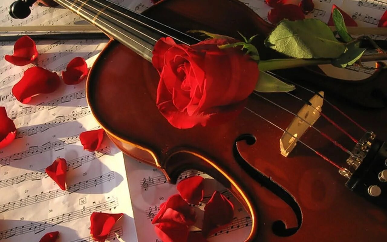 Будем песни петь от всей души. Скрипка и цветы. Романтично и музыкально. Скрипка душа.