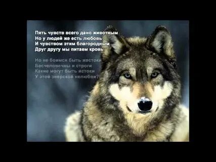 Благородный друг