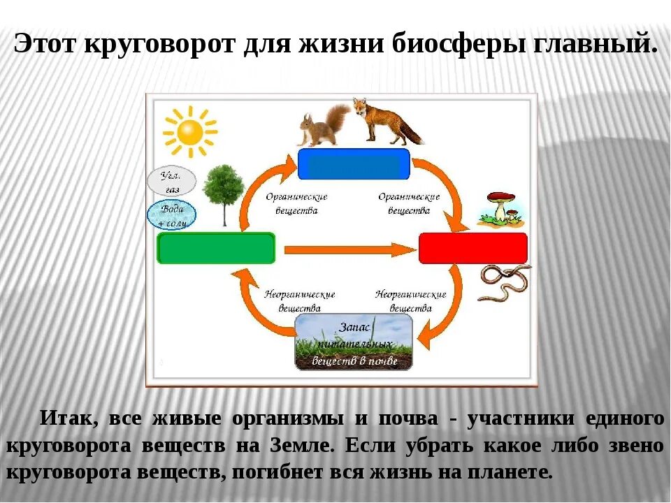 Схема круговорота веществ биология. Модель Великий круговорот веществ. Круговорот веществ в биосфере география. Модель круговорота веществ в природе 3 класс окружающий мир. Биологический круговорот живых организмов