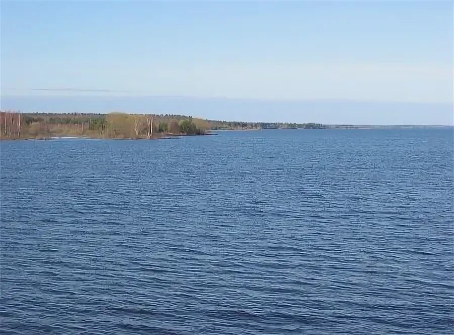 Вилейское водохранилище фото. Сосенка вилейский. Вилейское водохранилище. Сосенка вилейский. Сосенка вилейский.
