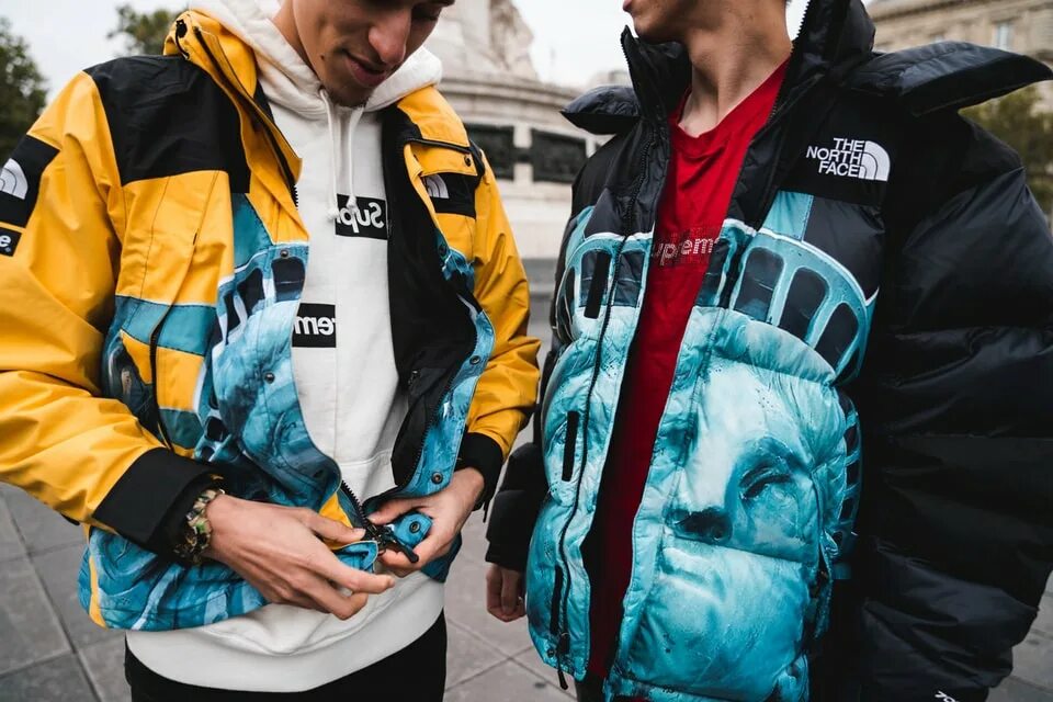 Как проверить the north face. Tnf supreme куртка. the north face supreme кофта. the north face supreme пуховик. куртка the north face подростки.