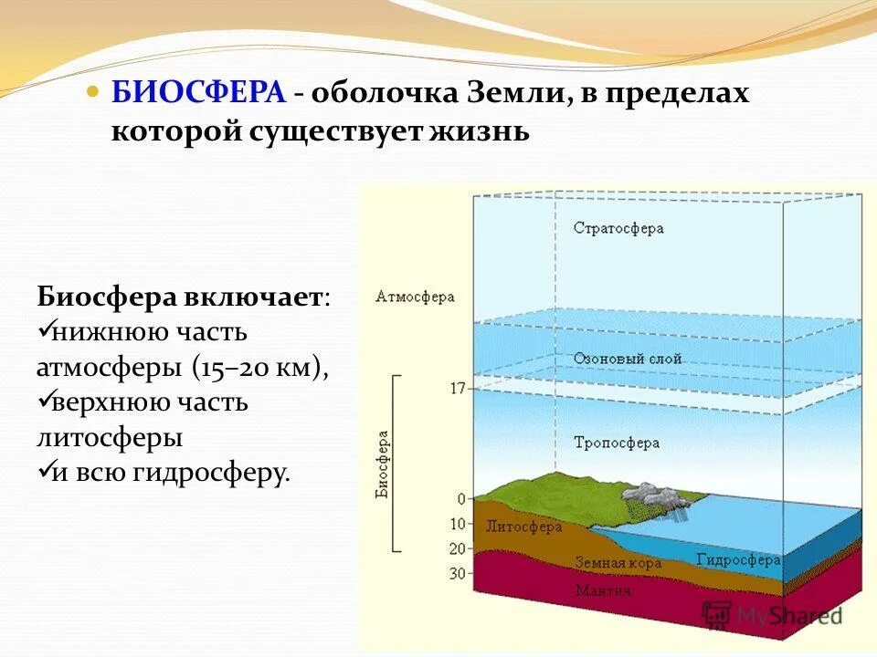 Как называется живая оболочка земли. Биосфера внешняя оболочка земли. стратосфера атмосфера гидросфера. биосфера охватывает часть атмосферы гидросферу часть литосферы. атмосфера литосфера гидросфера биосфера тропосфера.