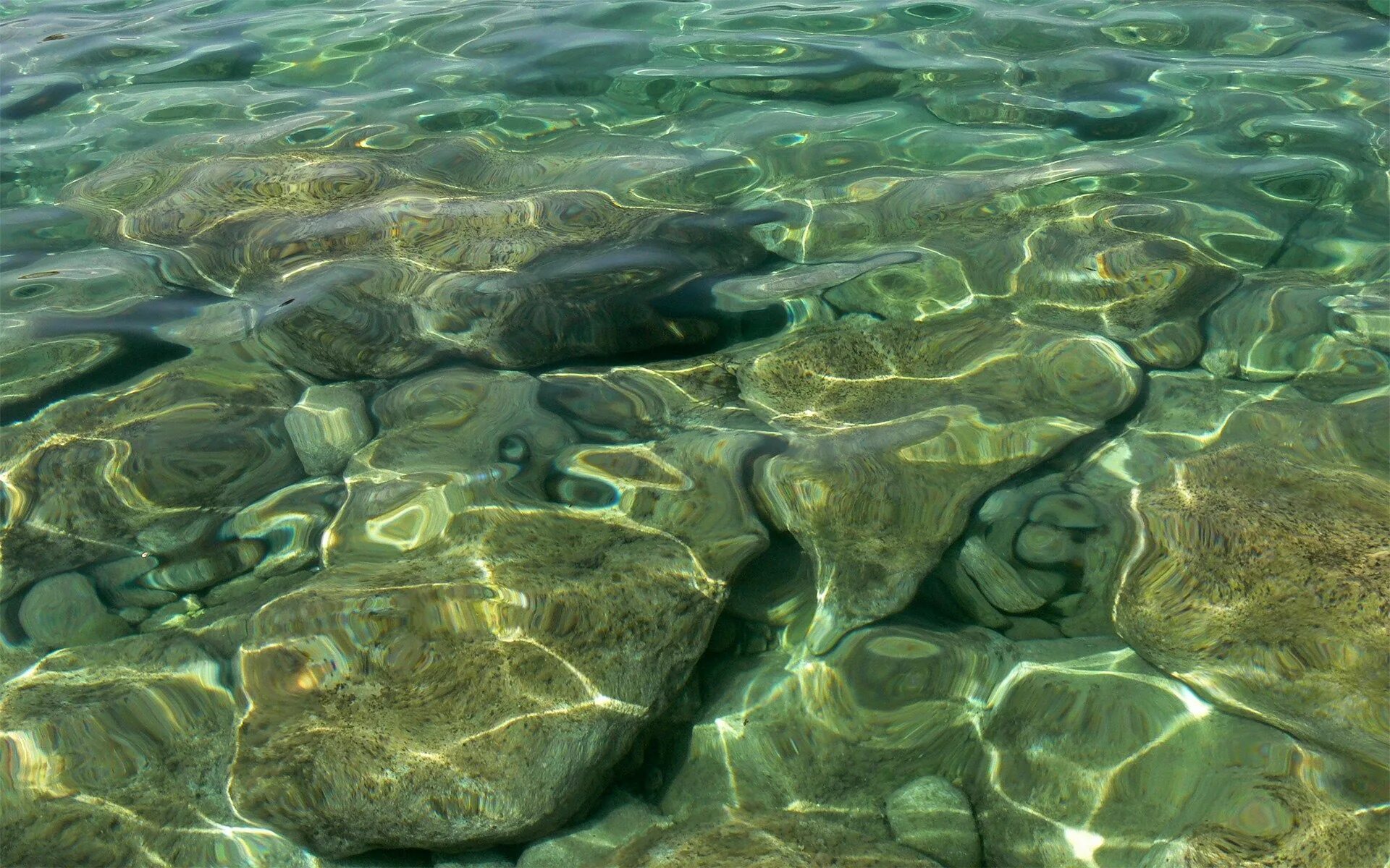 Подводные камни 2023. Прозрачное море. Прозрачная вода. Прозрачная вода море. Речное дно.