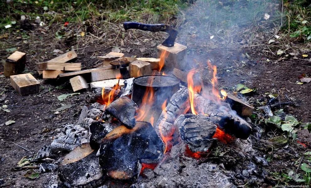 Помог развести костер и пожарить. Костер на углях в лесу. печь картошку в костре. костер с картошкой в лесу. дрова для костра в лесу.