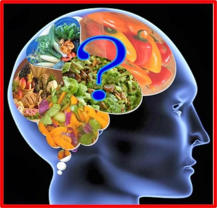 Мозг человека как улучшить работу. Пища для мозга. Пища разуму. Еда и мозг. Полезные продукты для ума.