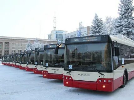 Торги транспорт