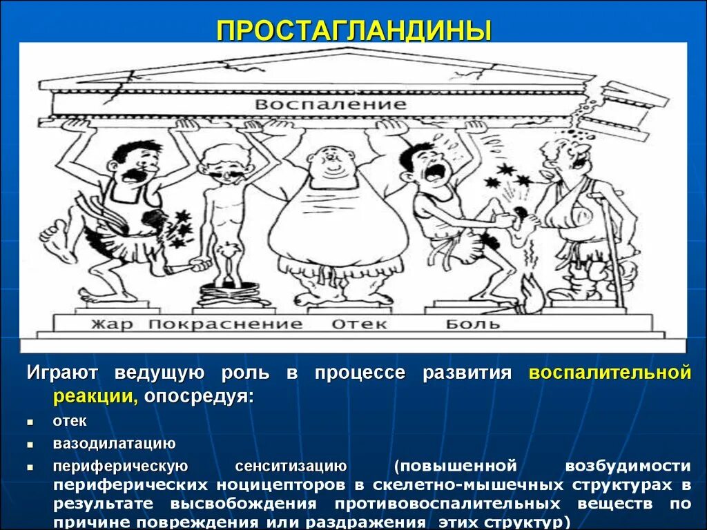 Простагландины. Простагландины функции. Роль простагландинов. Простагландины это. Системы играющей ведущую роль