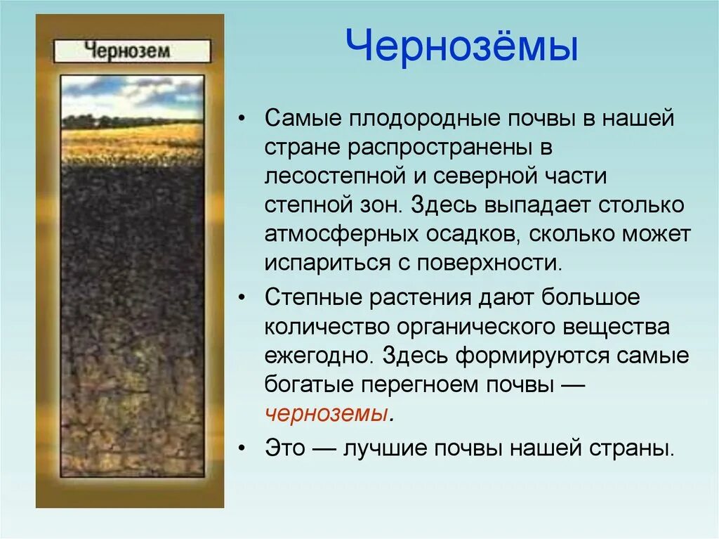 В какой природной зоне почвы наиболее плодородные. Характеристика почв России черноземы. Тип почвы чернозем. Типы черноземных почв. Основные сведения о почве чернозём.