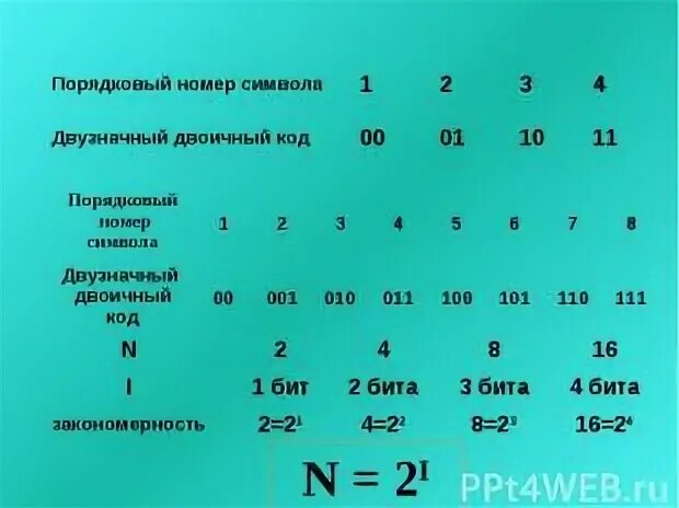 Порядковый номер 1