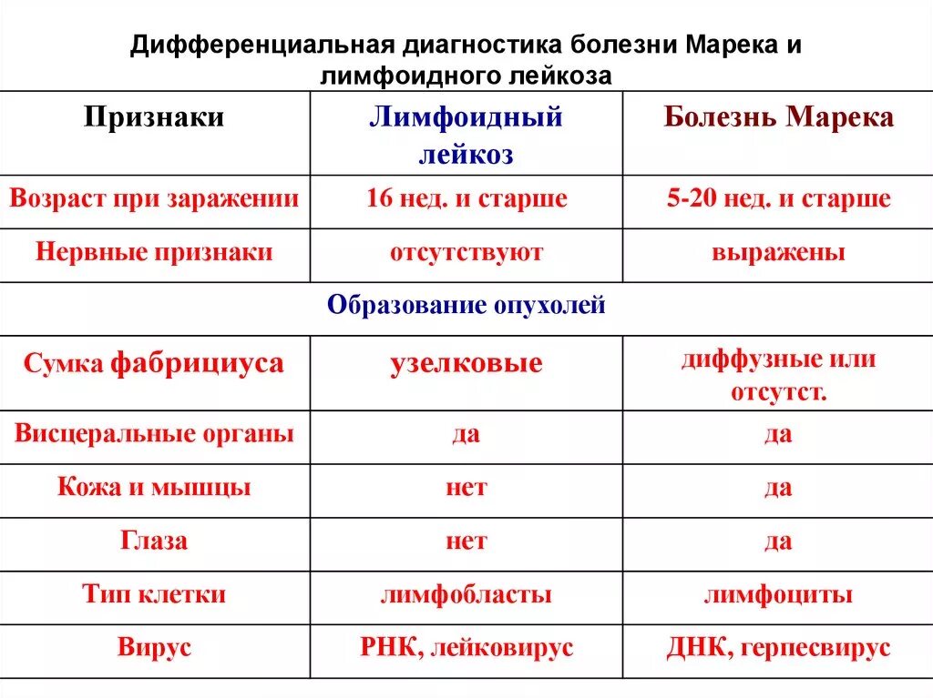 Диагностика острых и хронических лейкозов. Классификация острых лейкозов. Дифференциальная диагностика болезни марека и лейкоза. Дифференциальная диагностика острых и хронических лейкозов. Хронические гемобластозы классификация.