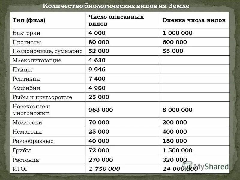 Количество живых организмов на земле. Количество видов бактерий. Сколько видов бактерий на земле. Количество видов бактерий на земле. Численность видов животных.