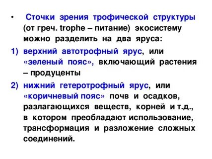 Автотрофной экосистемы