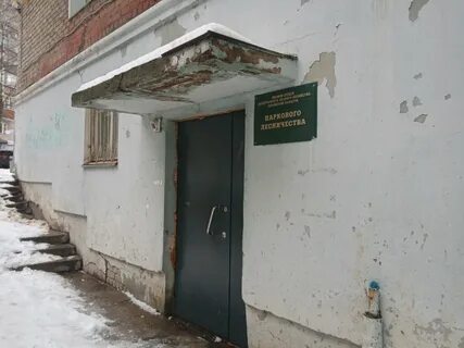 Лесной отдел