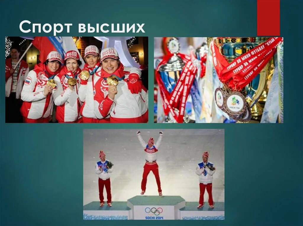 Определение понятия спорт высших достижений. Определение понятия спорт высших достижений