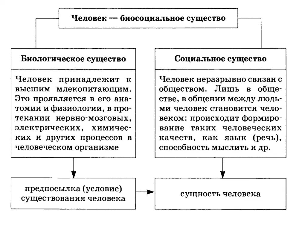 Человек как биологическое существо как социальное существо. Соотношение биологического и социального в человеке философия. Биологические и социальные качества человека обществознание. Биологические качества человека. Биологическое в человеке и социальное в человеке таблица.