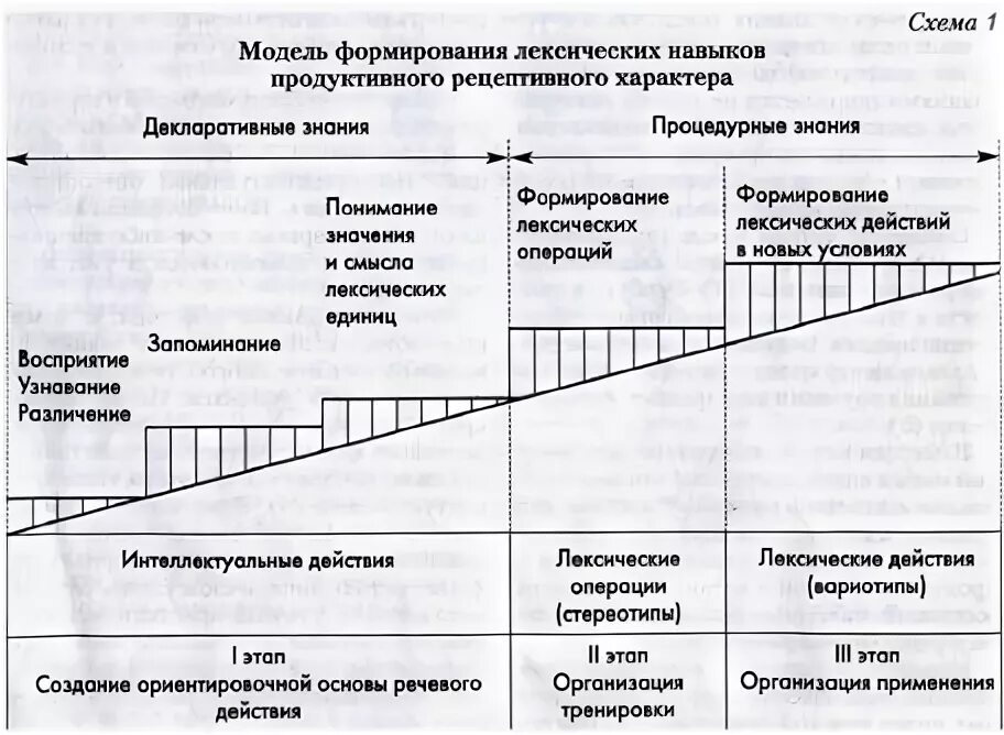 Этапы лексических навыков