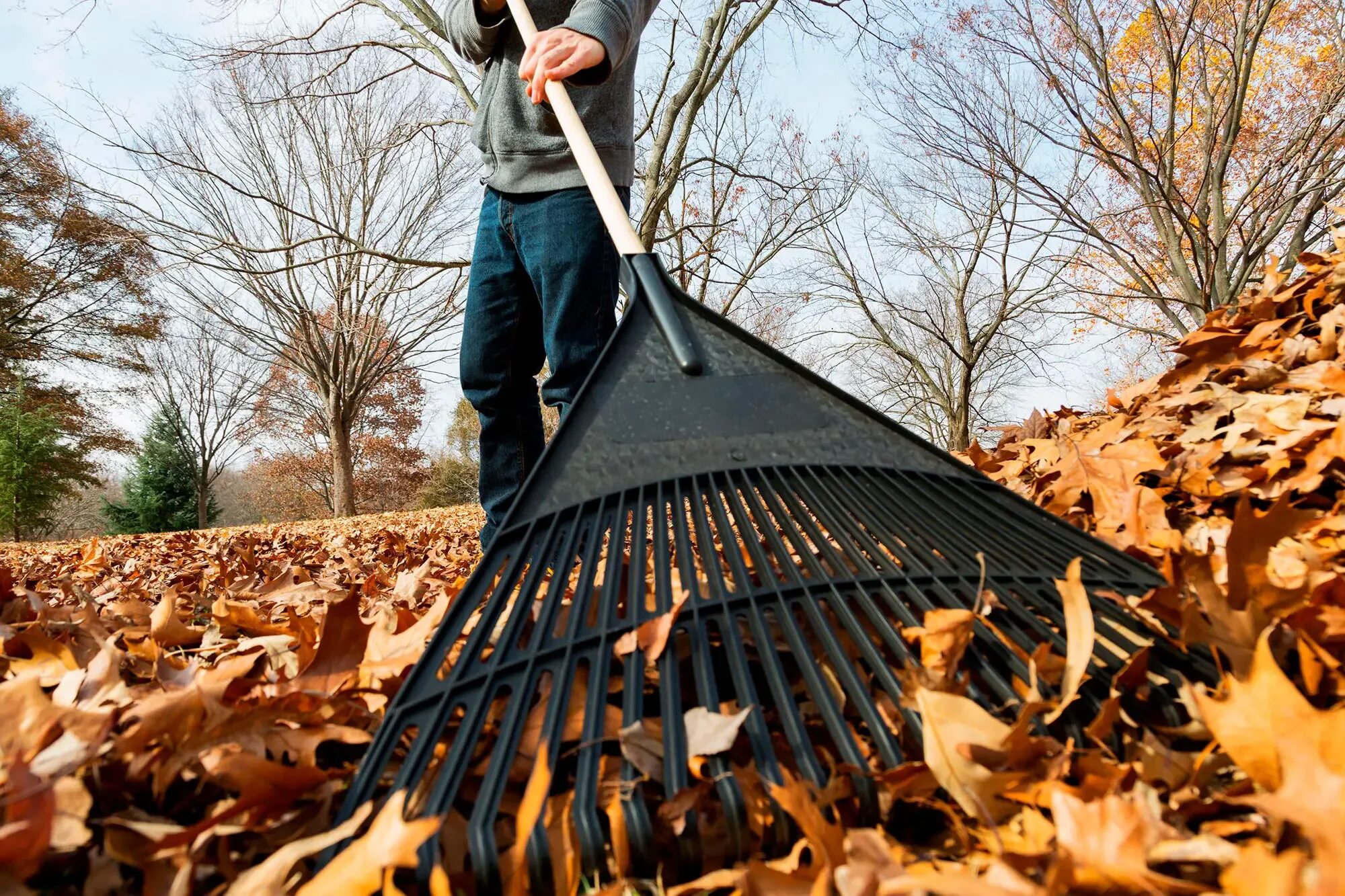 Pick up leaves. Уборка листьев. Осенняя уборка. Уборка осенних листьев. Уборка листьев в саду.