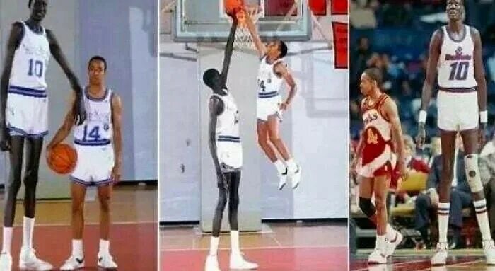 Robert bobroczky. Баскетболист ростом 231 см. Самая высокая баскетболистка. Robert bobroczky. Robert bobroczky рост.