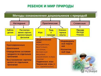 Ознакомление с миром природы
